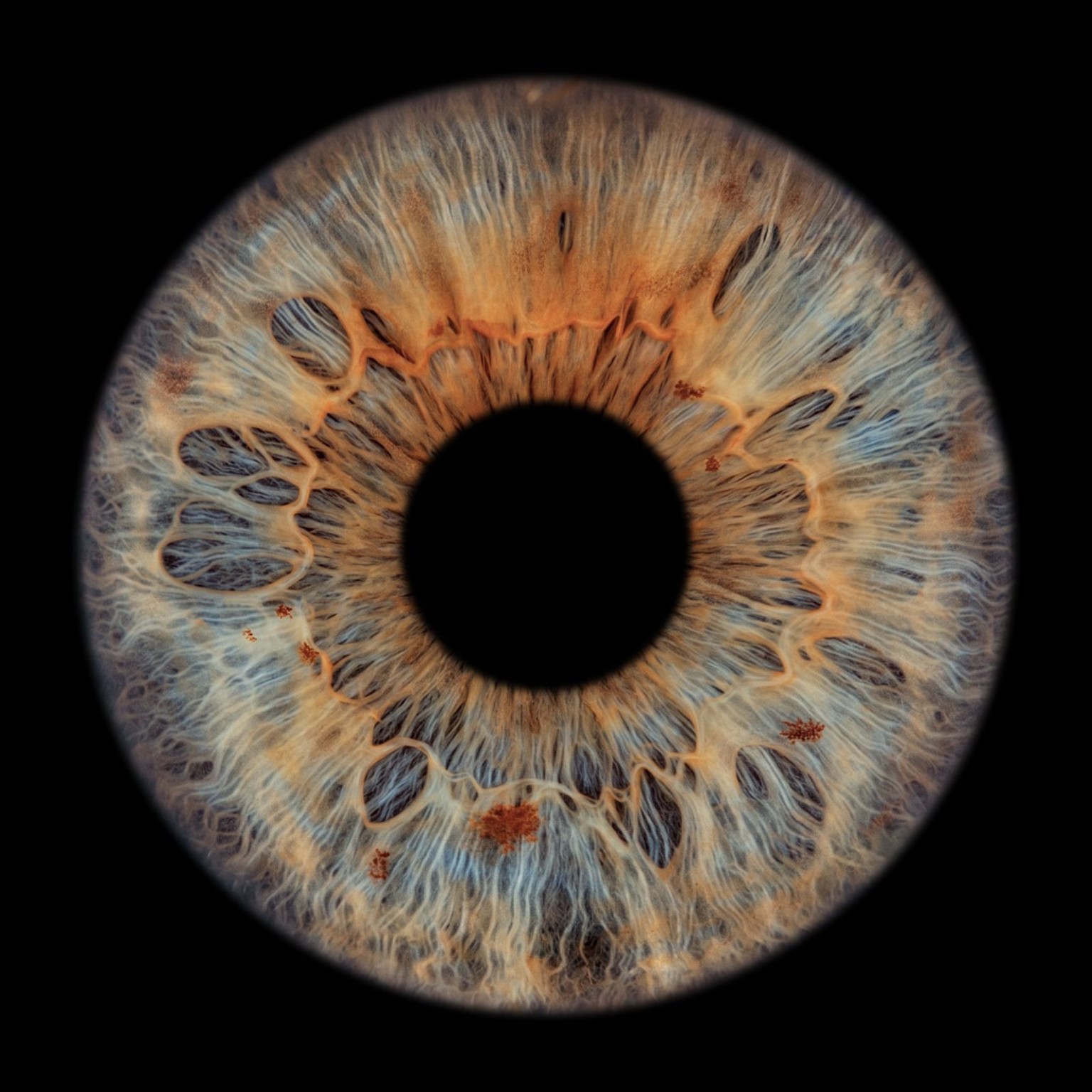 Blauwe en gouden details van een iris