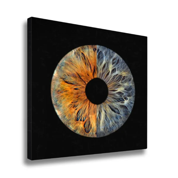 CANVAS - Fusion