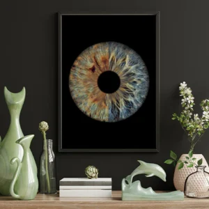 CANVAS - Fusion - Image 4