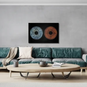 CANVAS - Pure - Image 4
