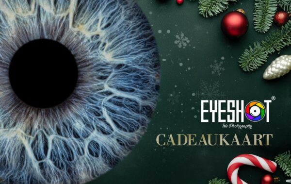 Cadeaukaart Kerst